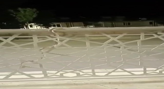 Şehir merkezindeki bariyere çıkan yılan paniğe neden oldu