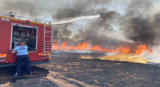 Siirtte 130 dekar tarım arazisi küle döndü