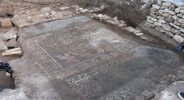 Sinopta bulunan mozaiklerin zengin bir ailenin yemek odası olduğu ortaya çıktı
