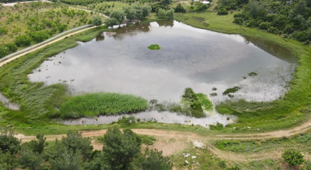Sülüklü Göl doğa ve fotoğraf tutkunlarının uğrak noktası oldu