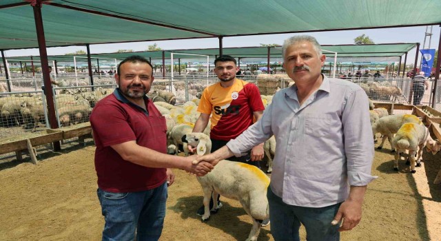 “Talas Kurban Pazarında büyük bir hizmet yapılmış”