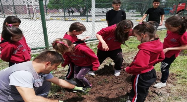 Tavşanlıda öğrenciler sağlıklı gelecek adına fidan dikti