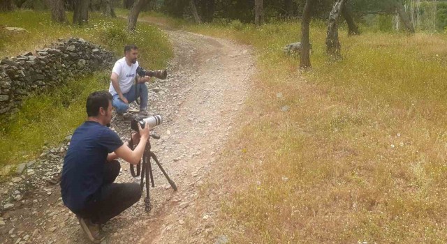 Tedavi edilen yaralı Ağaç Kamışçını kaldığı yerden göç yolculuğuna devam etti