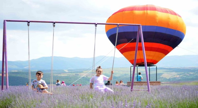 Tekirdağda mor turizm başladı: Buraya stresli girmek yasak