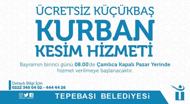 Tepebaşında kesim alanı hazır
