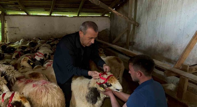 Vali Sonel, Kurban Bayramında yetim ve öksüzleri unutmadı