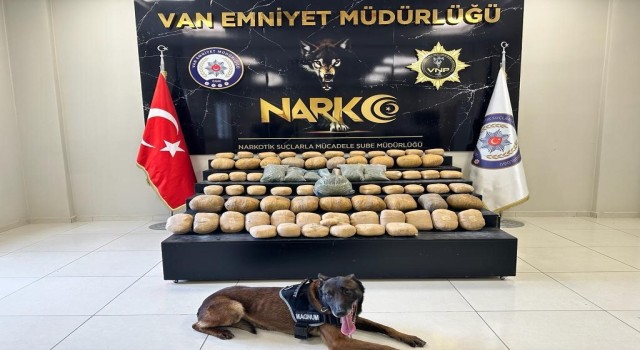 Vanda bir haftada 81 kilo uyuşturucu ele geçirildi