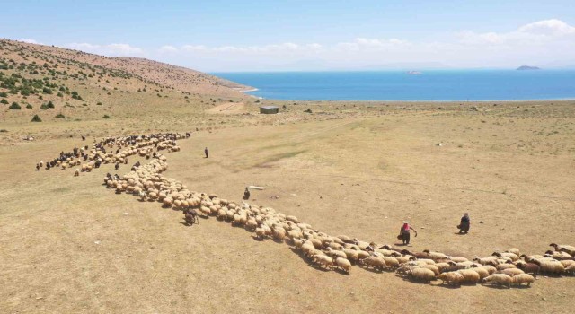 Vanda yaylaya güneş enerjisiyle su ulaştırıldı