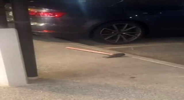 Yeni Zelandada Çin restoranlarına baltalı saldırı: 4 yaralı