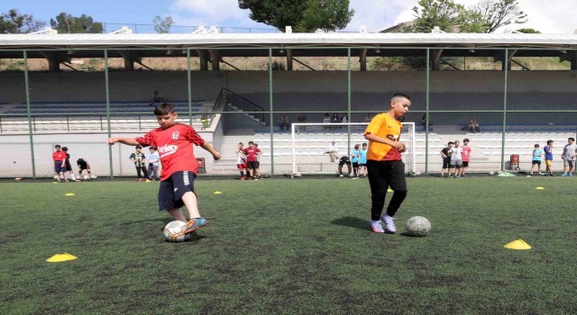 Yenimahalle Belediyesi yaz okulları başlıyor