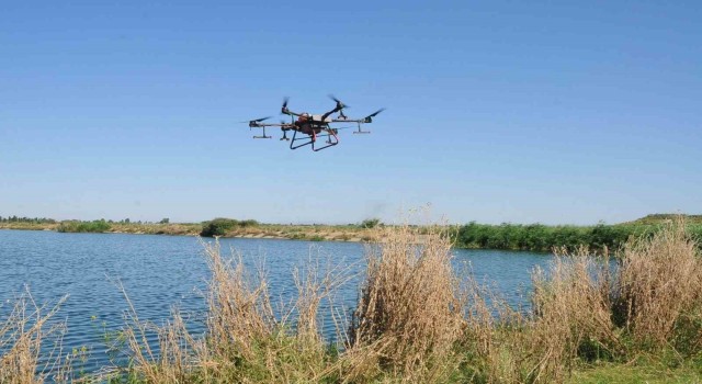 Akşehirde kronomid sineğine dron ile mücadele