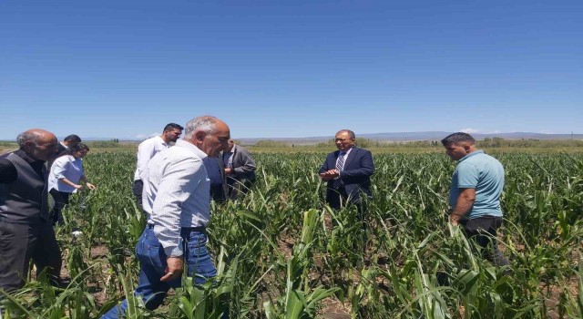 Akyakada ekili arazilerde hasar tespit çalışmaları sürüyor