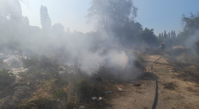 Alevlerin arasında kalan kaplumbağa itfaiye ekipleri tarafından kurtarıldı