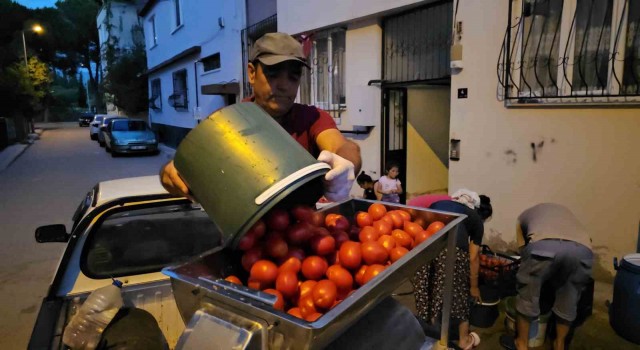 Alo Salçacı hattını kurdu