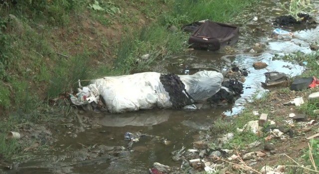 Arnavutköyde haşere yuvasına dönen dere mahalleliyi isyan ettirdi