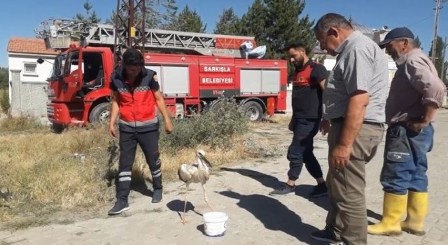 Ayağına ip dolanan leyleği itfaiye ekipleri kurtardı
