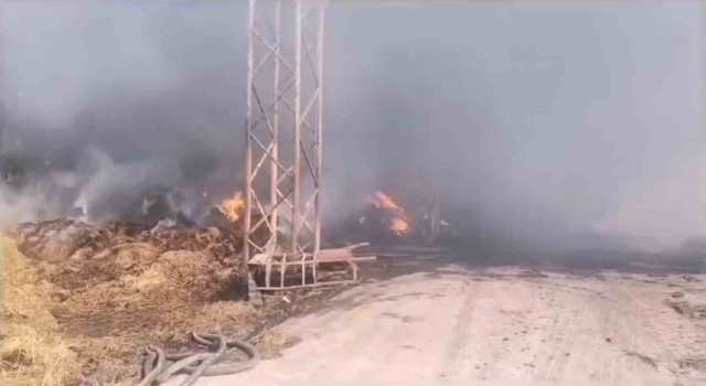 Balıkesirde çiftlikteki yangına müdahale devam ediyor
