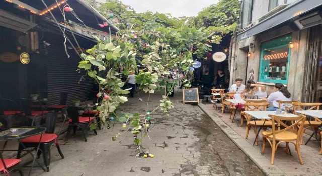 Beyoğlunda faciadan dönülen anlar kamerada: Ağaç devrildi, çevredekiler son anda kurtuldu