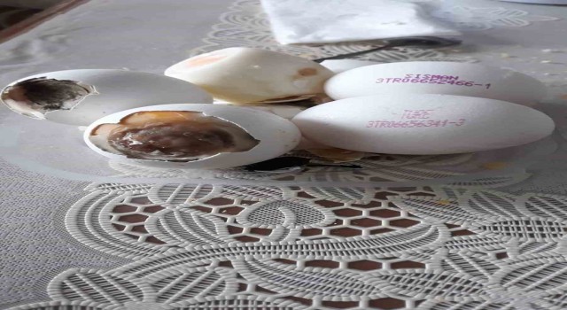 BİMden aldığı yumurtaların hepsi bozuk çıktı