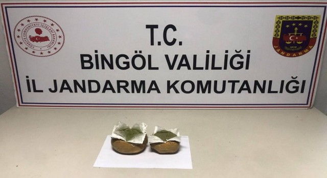 Bingölde 2 bin 507 kök kenevir ele geçirildi