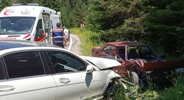 Boluda ormanda çilek toplamak için park edilen araç kazaya sebep oldu: 2 yaralı