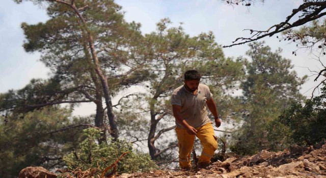 Boludaki orman yangınına müdahale devam ediyor