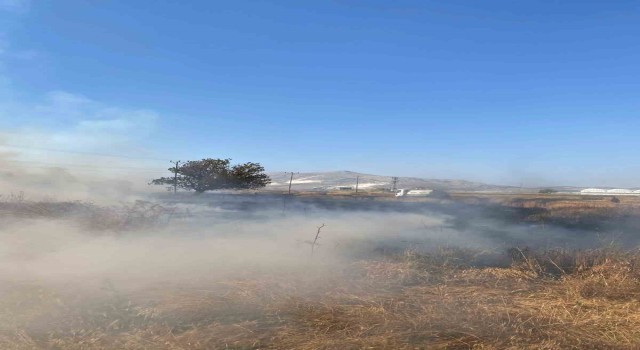 Burdurda 30 dönüm hububat tarlası küle döndü