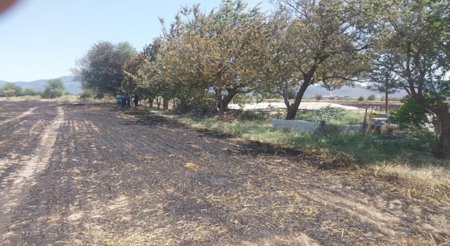 Burdurda aynı günde ikinci arazi yangını: 8 dönüm arazi yandı