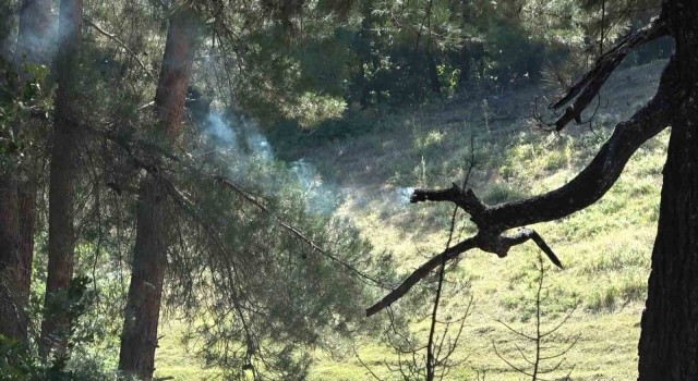 Bursada iki ayrı noktada çıkan yangın söndürüldü