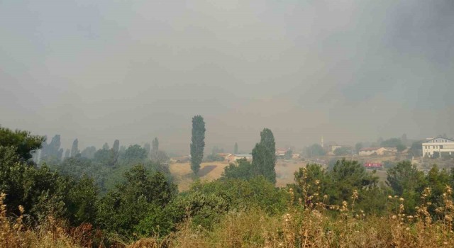 Çanakkalede orman yangınına havadan ve karadan müdahale ediliyor