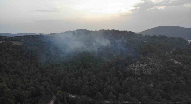 Çanakkaledeki orman yangınına günün ilk ışıklarıyla hava müdahalesi başladı