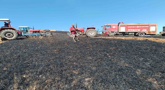 Çorumda 60 dönümlük buğday tarlası kül oldu