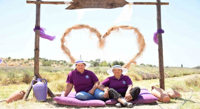Didimin mis kokulu Lavanta Festivaline sayılı günler kaldı