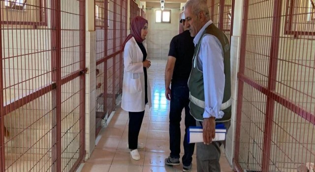 DKMPden hayvan bakımevinde hijyen denetimi