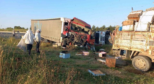 Edirnede, Muğlalı arıcılara tır çarptı: 4 ölü, 1 yaralı