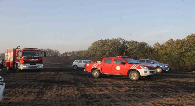 Edirnede orman yangını söndürüldü