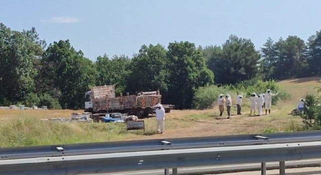 Ekipler 4 ölümlü kazaya arıcı kıyafeti giyerek müdahale etti
