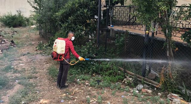 Haşere ve Sineklere Karşı İlaçlama Çalışmaları Devam Ediyor