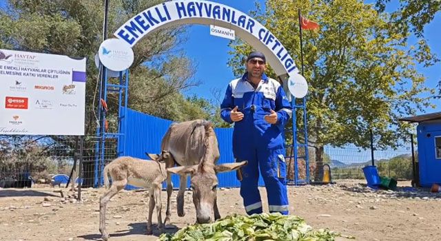 Hayata tutunan eşek, 8 ay sonra doğum yaptı