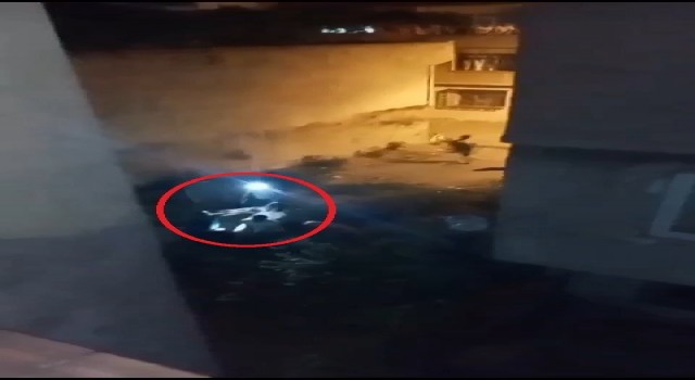 Hırsıza meydan dayağı kamerada