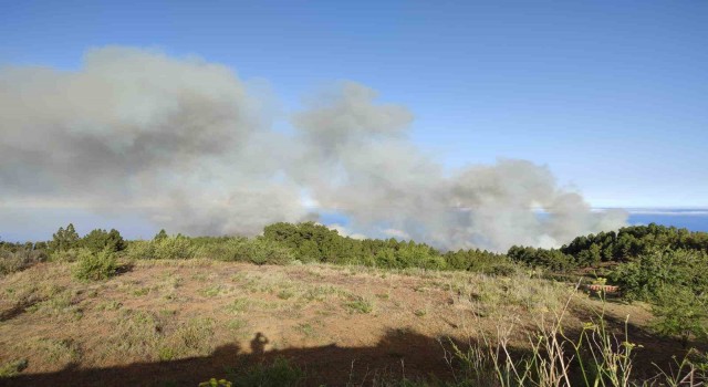İspanya'da orman yangını: 11 ev yandı, 140 hektar alan kül oldu, 500 kişi tahliye edildi