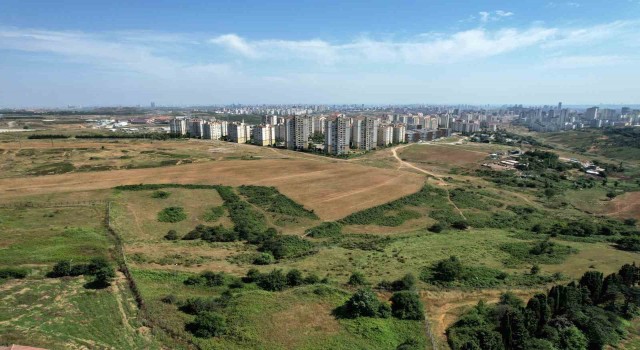 İstanbulun taşı toprağı altından kıymetli oldu