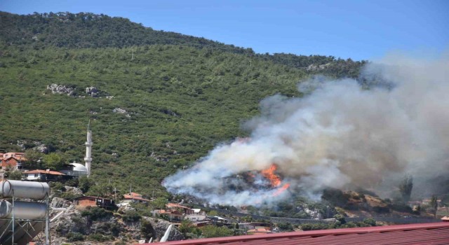 İzmir Kemalpaşada orman yangını