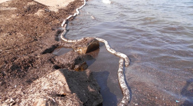 İzmirde korkutan görüntü, petrol türevi atık sahili kirletti