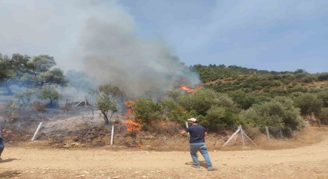 İzmirde orman yangını başladı, havadan müdahale ediliyor