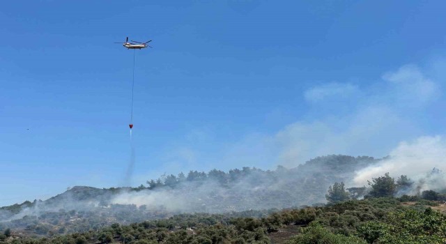 İzmirde zeytinlikte çıkan yangına havadan ve karadan müdahale