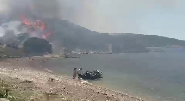 İzmirdeki orman yangınında vatandaşlar denizden tahliye ediliyor