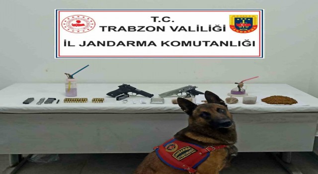 Jandarma Narkotik timlerinden Duman imzalı operasyon