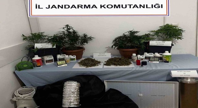 Jandarmadan iki haftada 24 uyuşturucu operasyonu