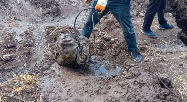 Kanalizasyonda Halata Bağlı Et Kütüğü Bulundu
